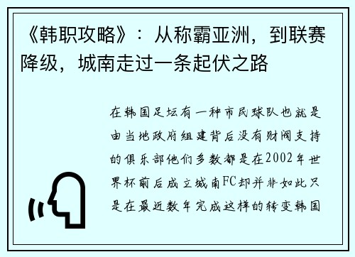 《韩职攻略》：从称霸亚洲，到联赛降级，城南走过一条起伏之路